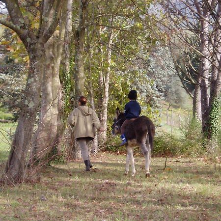 Podere La Piana Фивицано Екстериор снимка