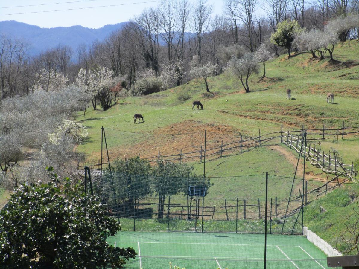 Podere La Piana Фивицано Екстериор снимка
