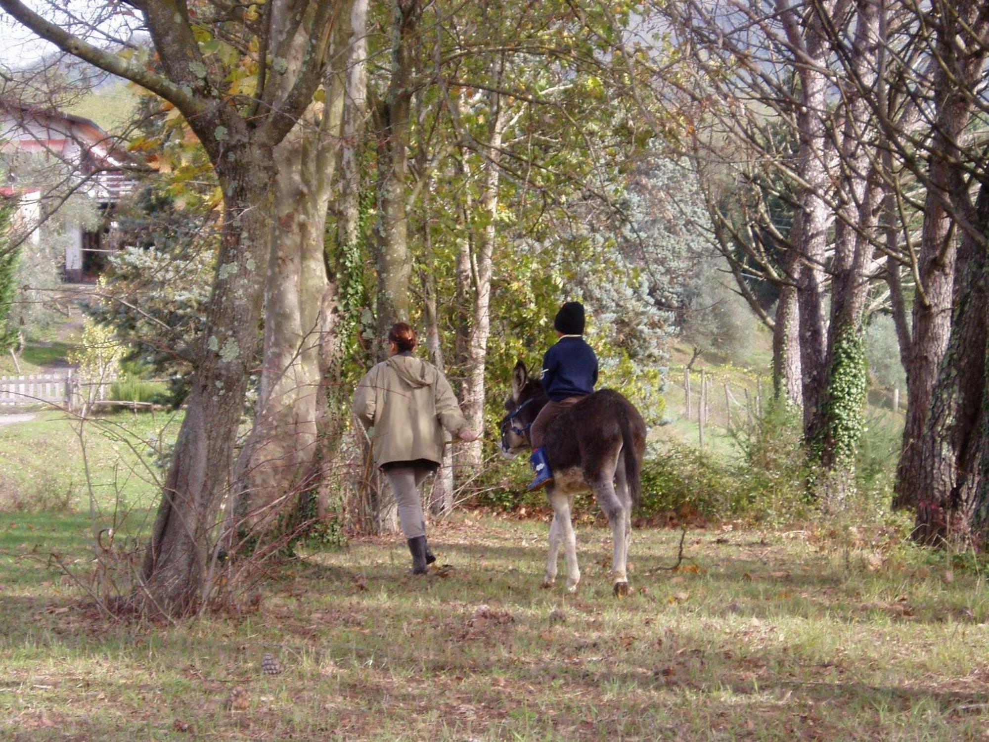 Podere La Piana Фивицано Екстериор снимка