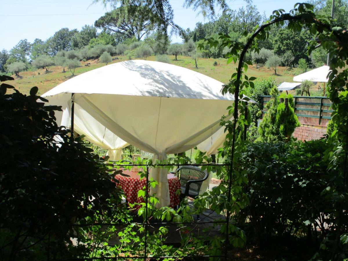 Podere La Piana Фивицано Стая снимка