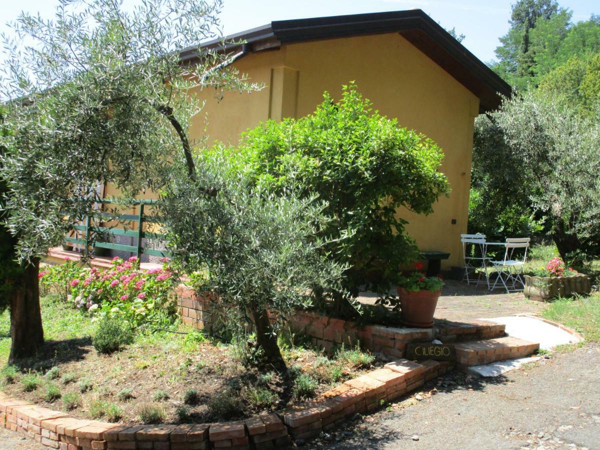 Podere La Piana Фивицано Стая снимка